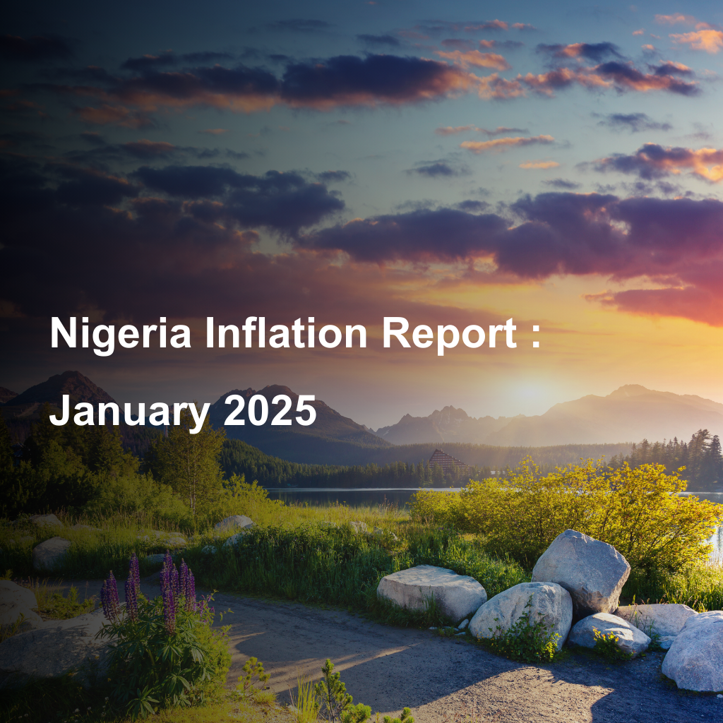 Inflation Report January